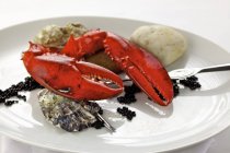 Langosta con caviar y ostras - foto de stock