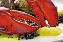 Lobster with caviar and oysters — Stock Photo