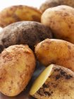 Fresh picked potatoes — Stock Photo