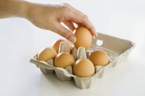 Hand taking egg out of box — Stock Photo