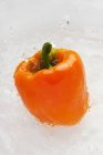 Orange pepper in water — Stock Photo