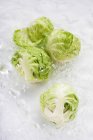 Brussels sprouts in water — Stock Photo
