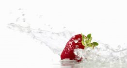 Erdbeere mit Spritzwasser — Stockfoto
