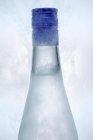 Vista de perto de Ouzo em garrafa gelada — Fotografia de Stock