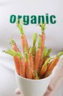 Woman holding organic fresh carrots — Stock Photo