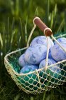 Uova di Pasqua blu — Foto stock