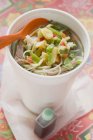 Soupe de nouilles au boeuf et légumes — Photo de stock