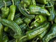 Green pointed peppers — Stock Photo