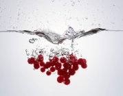 Fresh redcurrants falling into water — Stock Photo