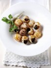 Lumache cotte con prezzemolo e aglio su piatto bianco — Foto stock