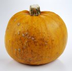 Fresh ripe pumpkin — Stock Photo