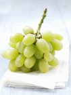 Racimo de uvas verdes - foto de stock
