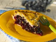 Slice of Organic Blueberry Pie — Stock Photo