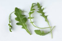Several rocket leaves — Stock Photo