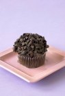 Muffin com cachos de chocolate — Fotografia de Stock