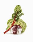 Tre tipi di verdure a foglia su sfondo bianco — Foto stock