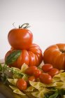 Ассорти помидоры с пастой — стоковое фото