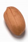 Раковина сырой арахис — стоковое фото