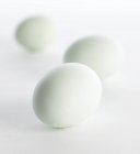 Три белых яйца — стоковое фото