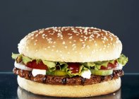 Classical hamburger with vegetables — Stock Photo