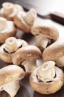 Button mushrooms, close-up — Stock Photo