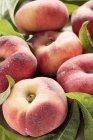 Кілька персики виноградник — стокове фото