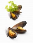 Cooked mussels with parsley — Stock Photo