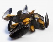 Heap of cooked Mussels — Stock Photo