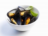 Cooked Mussels in bowl — Stock Photo