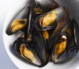 Cooked Mussels in bowl — Stock Photo