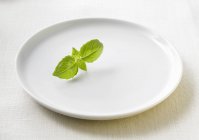 Basil leaves on plate — Stock Photo