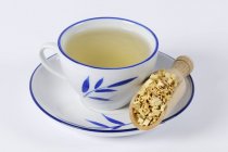Clematis armandii tea — Stock Photo