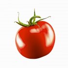 Fresh red tomato — Stock Photo