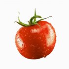 Tomate avec gouttes d'eau — Photo de stock
