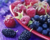 Смешанные летние ягоды — стоковое фото