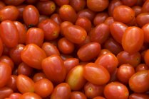 Fresh Grape Tomatoes — Stock Photo