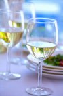 Vários copos de vinho branco — Fotografia de Stock