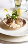 Closeup view of grilled scallops served in shell — Stock Photo