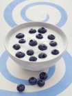 Yogurt with blueberries in bowl — Stock Photo