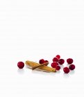 Cranberries and cinnamon sticks — Stock Photo