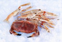 Closeup view of whole crab and Norway lobsters on ice — Stock Photo
