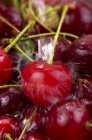 Cherries with a splash of water — Stock Photo