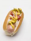 Hot Dog mit Senf und Zwiebeln — Stockfoto