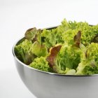 Grüner Salat in Schüssel — Stockfoto