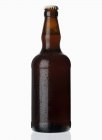 Bottiglia di birra refrigerata — Foto stock