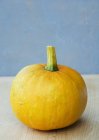Yellow fresh pumpkin — Stock Photo