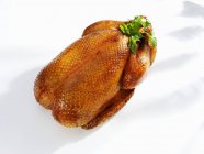 Whole roast duck — Stock Photo