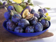 Plums in blue bowl — Stock Photo