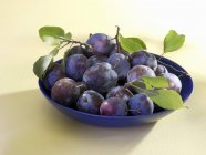 Plums in blue bowl — Stock Photo