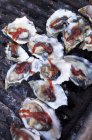 Haufen gegrillter Austern — Stockfoto